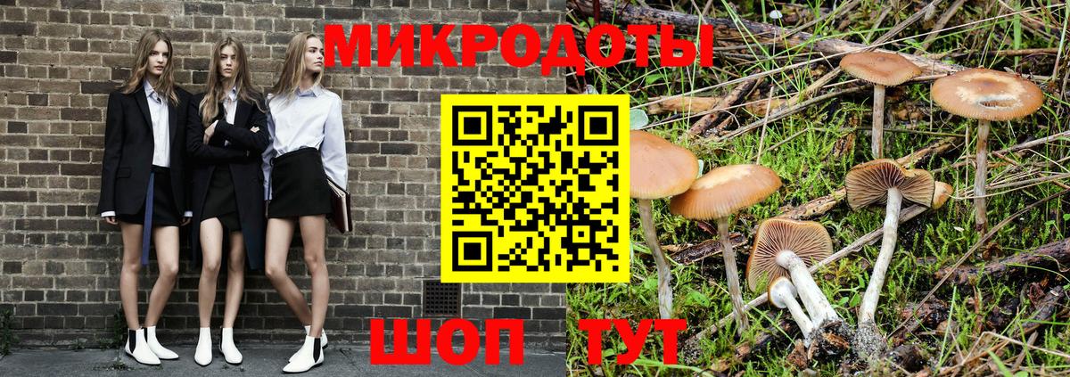 где купить наркотик  Вход с VPN  Назарово  Галлюциногенные грибы мухоморы 